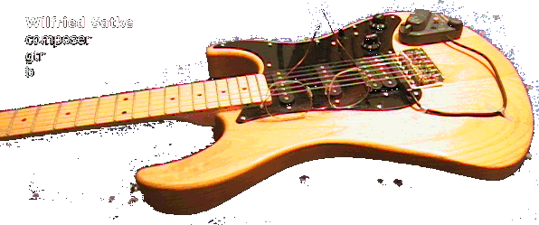 Wilfried Satke - composer - gtr - b